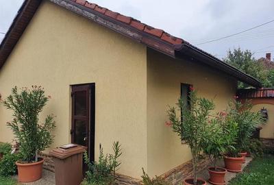 CASA DE INCHIRIAT ARADUL NOU - 2