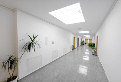 Penthouse 2 Camere | Pet Friendly - 12