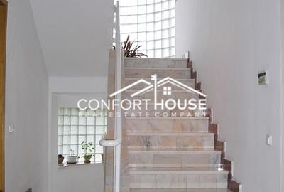 Proprietate impresionanta D+P+M, teren 4781MP, IANCU NICOLAE - 18