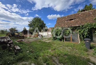 Casă individuală cu 2 camere în Turnișor