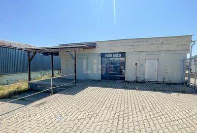 Spatii multiple pentru inchiriat Calea Timisoarei - 3