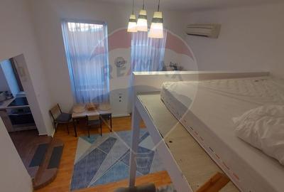 Apartament cu o camera la curte de vanzare pe Ady Endre, Oradea, Bihor - 10