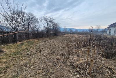 Casă de vânzare – Zona Agarcia, județul Neamț - 7