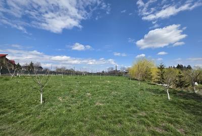 Vând teren cu iaz și livadă de nuci – Ilișești, aproape de Suceava - 6