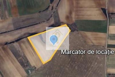 🏡 Teren ideal pentru investiție – Nojorid, Bihor - 4