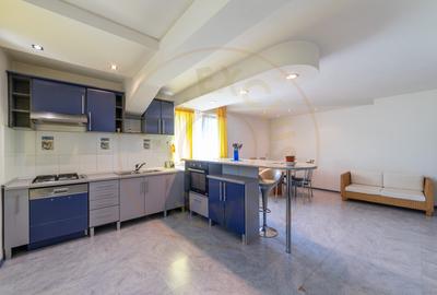 Apartament pe 2 nivele -  6 camere Gavana 3 + 309 mp curte proprie - 18