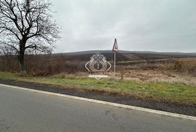 Teren 13.780 mp, Apahida, Cluj - Ideal pentru Investiție - 1