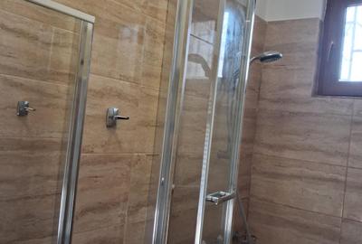 Casa individuala, P+1. centrala gaz, zona Centru - Piata Grivitei - 12
