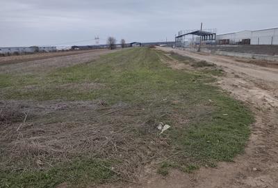 FARA COMISIOANE LOTURI TEREN CONSTRUCTII HALE in ZONA DE HALE merita vazut - 9