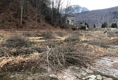 De vanzare teren intravilan AZUGA - 13
