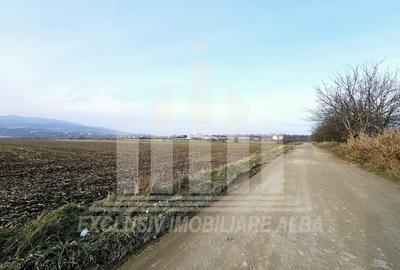 Teren intravilan de 780 mp, în Partoș