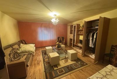 Casa Renovata Parter Becicherecu Mic,Vatra Veche,Teren Generos - 12