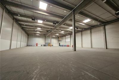 Spatiu Industrial - 4200 mp - Logistica - Productie - Depozitare - Distributie - 3