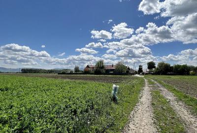 Teren intravilan Zona Metropolitana Brasov - 4