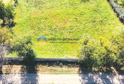 TEREN intravilan 3260 mp  ROZNOV – CHINTINICI - 9