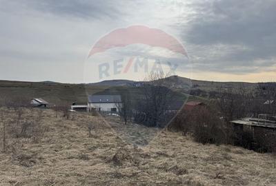 Teren intravilan 2307 mp în Salicea, zona premium, aproape de Cluj - 8