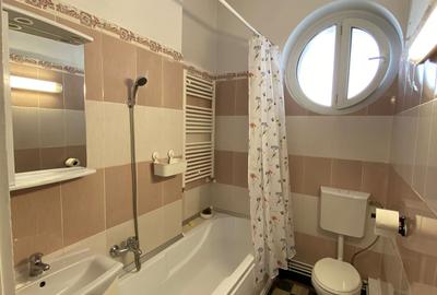 Apartament de închiriat, 1 cameră, 50 mp, zona Piața Muzeului - 9