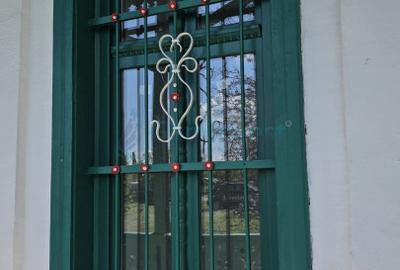 Conac de vanzare in Bihor, restaurat, la 40 km de Oradea, Romania - 15
