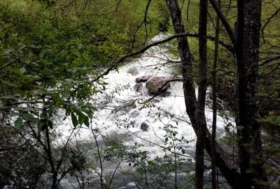Proprietate rară în inima Retezatului – 5.700 mp teren intravilan - 16