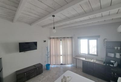 Greek Bungalows , Piscina, la Malul Marii, Afacere la Cheie,Costinesti - 35