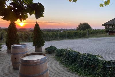 Proprietate istorică , crama +vie DOC + distilerie +loc. evenimente+ 20000 vin - 7