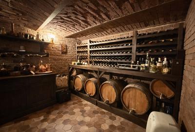 Vilă ultracentrală cu piscină interioară, saună și cramă | Unirii - 6