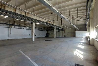 Spațiu industrial, 1000 mp în Tudor