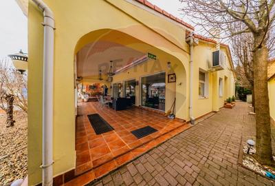 Vilă cu 4 camere de vânzare 921 mp zona Subcetate,Arad - 32