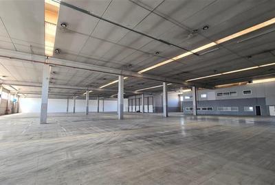 Hala industriala 5de inchiriat,  Timisoara Calea Sagului - 4