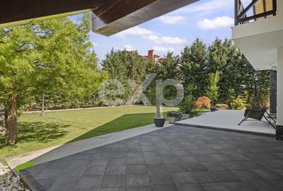 Refugiu urban în București: vilă elegantă, grădină matură și finisaje de lux - 9