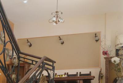 Casa impresionanta de vanzare Cotroceni, teren 680 mp, renovata, garaj dublu - 14