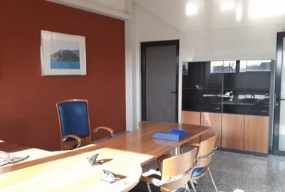 Bucurestii Noi - 2 Cocosi, Office supr. utila 250mp - 9