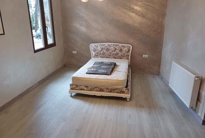 Vand vila superba Faget - 4