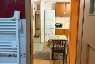 Apartament 2 camere de inchiriat-Zona Doamna Stanca - 9