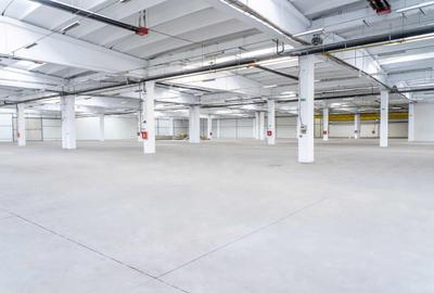 Spatiu industrial de inchiriat 2000 mp - 4