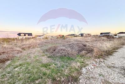 Teren intravilan Corbeanca – 804 mp, zona de nord a Bucurestiului - 19