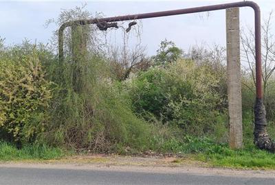 TEREN INTRAVILAN DOROBANTI - 4