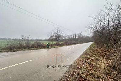 Giroc Teren 30.000mp PUZ APROBAT Pentru Case | Asfalt - Langa Padure - 4