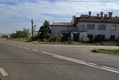 Constructii la strada in Cucorani pe 1 ha de teren - 6