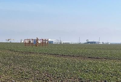 Teren intravilan, 5000 mp, zona Peugeot - 1