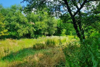 Teren Construcții intravilan de 1580 mp, în Central