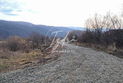 Teren extravilan de vânzare – 500 mp – Tălmaciu, zonă apropiată de intravilan - 15