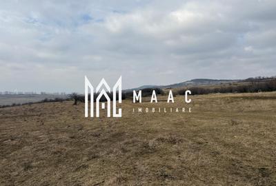 Teren 6,75 ha | Panoramă și Acces Excelent | Dealul Daii - 6