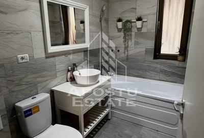 Apartament cu 2 camere de inchiriat, pet-friendly, Chisoda - 9