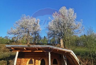 6,2 ha + business turistic activ | Munții Apuseni - 2