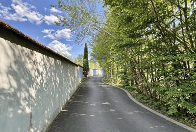 Teren de vânzare – Valea Avrigului, jud. Sibiu | 1.600 mp - 10