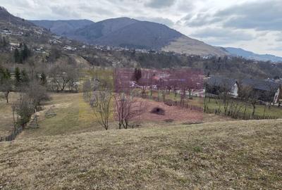 Teren intravilan de vanzare in Valea Doftanei - 3