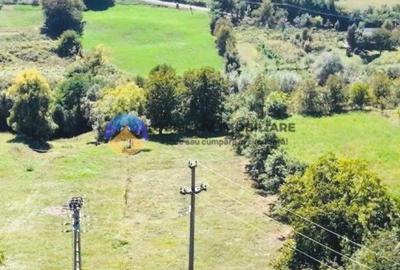 TEREN intravilan  2510 mp BORLEȘTI - ȘOVOAIA - 3