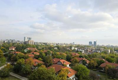 UP-SITE Complex Floreasca / - 10