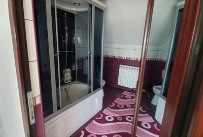 Vila P+M, si spatiu comercial - 9
